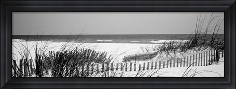 Framed Fence on the beach, Bon Secour National Wildlife Refuge, Bon Secour, Alabama Print