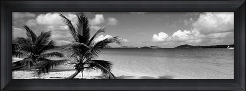 Framed Salomon Beach US Virgin Islands Print