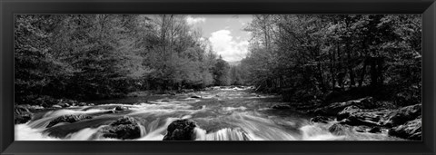 Framed Little Pigeon River, Great Smoky Mountains National Park, Tennessee Print