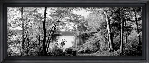 Framed Trees at the lakeside, Great Sacandaga Lake, Adirondack Mountains, NY Print