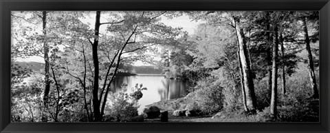 Framed Trees at the lakeside, Great Sacandaga Lake, Adirondack Mountains, NY Print