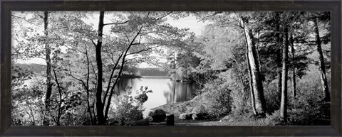 Framed Trees at the lakeside, Great Sacandaga Lake, Adirondack Mountains, NY Print