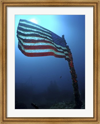 Framed American Flag on a Sunken Ship in Key Largo, Florida Print