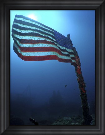 Framed American Flag on a Sunken Ship in Key Largo, Florida Print