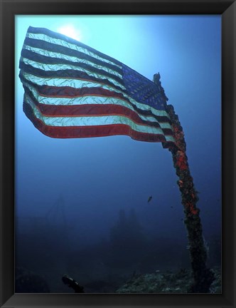 Framed American Flag on a Sunken Ship in Key Largo, Florida Print