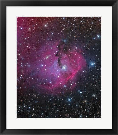 Framed VDB 93 is an emission and reflection Nebula in Canis Major Print