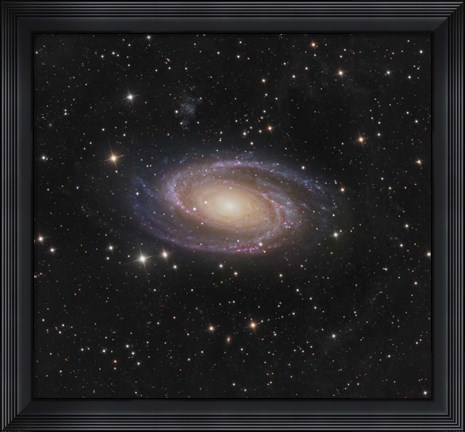 Framed Messier 81 spiral galaxy in the Constellation Ursa Major Print