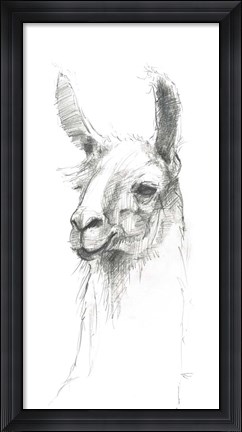 Framed Bianca Pencil Print