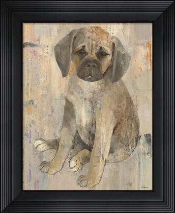 Framed Paco Print