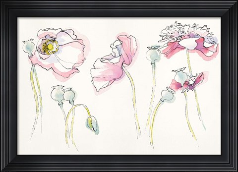 Framed Pink Somniferums Print