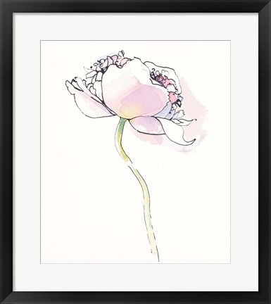 Framed Single Pink Somniferums I on White Print