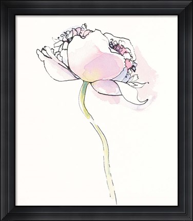 Framed Single Pink Somniferums I on White Print