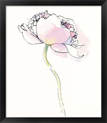 Framed Single Pink Somniferums I on White Print