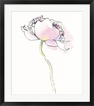 Framed Single Pink Somniferums I on White Print