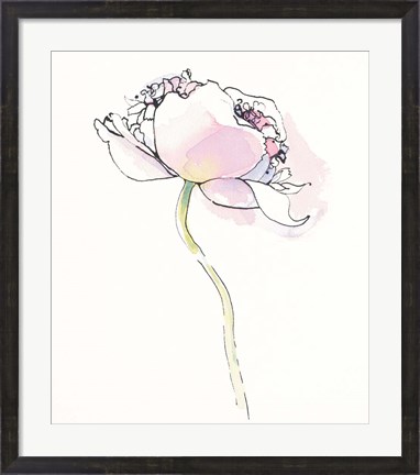 Framed Single Pink Somniferums I on White Print