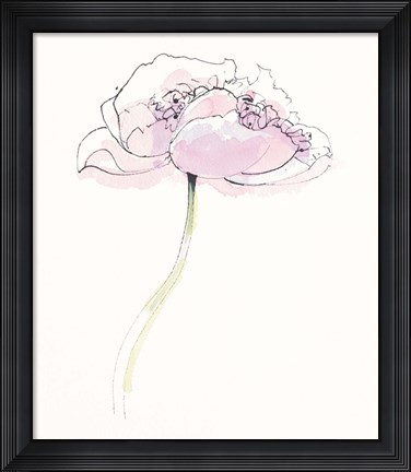 Framed Single Pink Somniferums II on White Print
