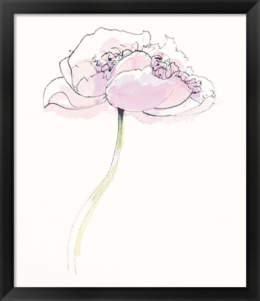 Framed Single Pink Somniferums II on White Print