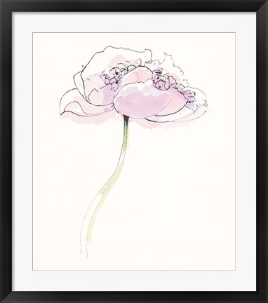 Framed Single Pink Somniferums II on White Print