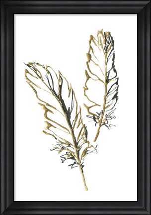 Framed Gilded Barn Owl Feather Print
