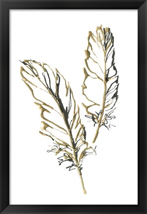 Framed Gilded Barn Owl Feather Print