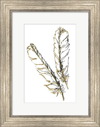Framed Gilded Red Tailed Hawk Feather Print
