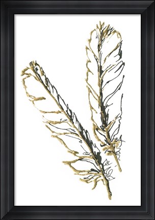 Framed Gilded Red Tailed Hawk Feather Print