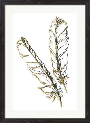 Framed Gilded Red Tailed Hawk Feather Print