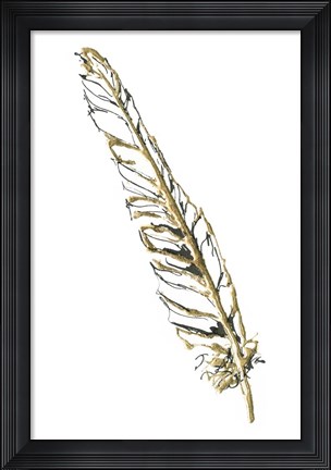 Framed Gilded Swan Feather I Print