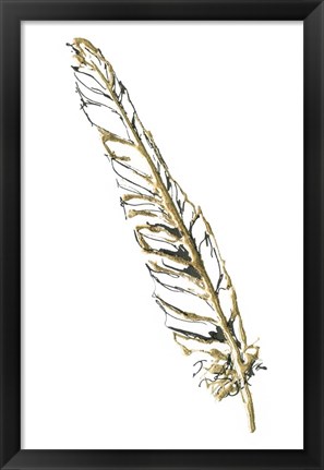 Framed Gilded Swan Feather I Print