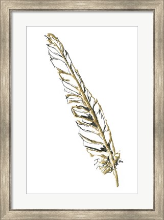 Framed Gilded Swan Feather I Print