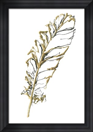 Framed Gilded Turkey Feather I Print