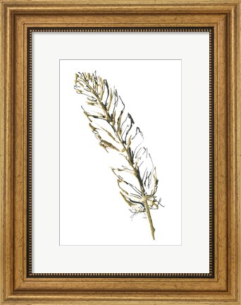 Framed Gilded Turkey Feather II Print