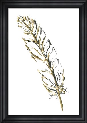 Framed Gilded Turkey Feather II Print