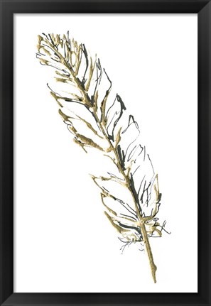 Framed Gilded Turkey Feather II Print