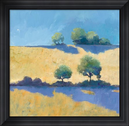 Framed Shadows Print