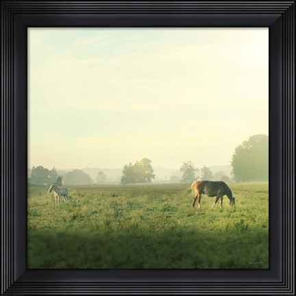 Framed Farm Morning I Square Print