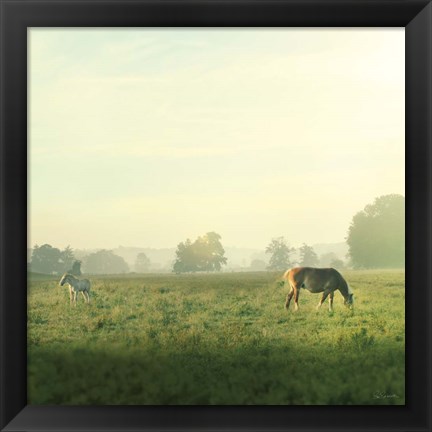 Framed Farm Morning I Square Print