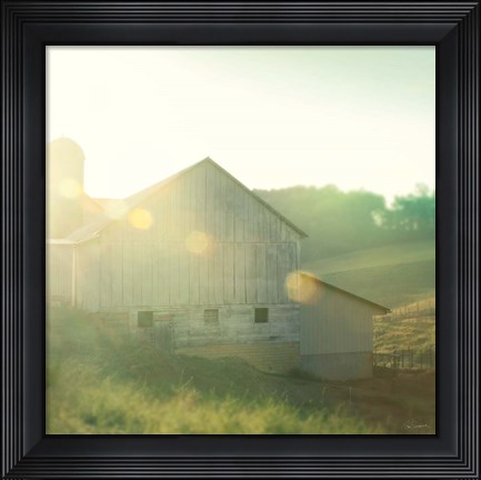 Framed Farm Morning II Square Print