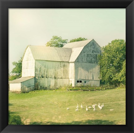 Framed Farm Morning III Square Print