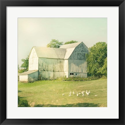 Framed Farm Morning III Square Print