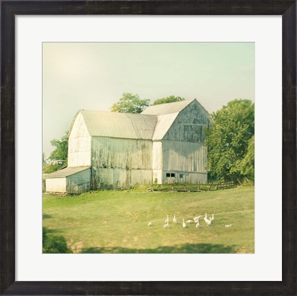 Framed Farm Morning III Square Print