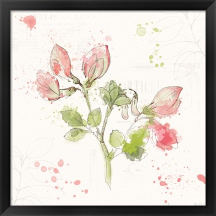 Framed Floral Splash II Print