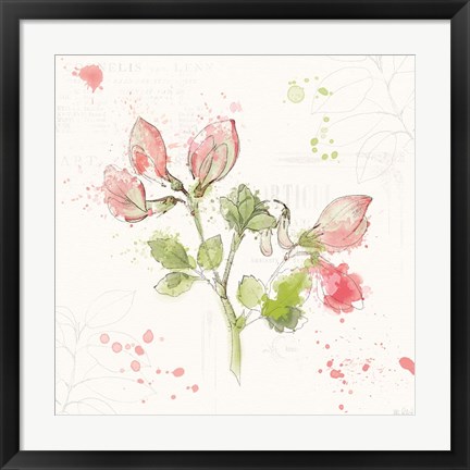 Framed Floral Splash II Print