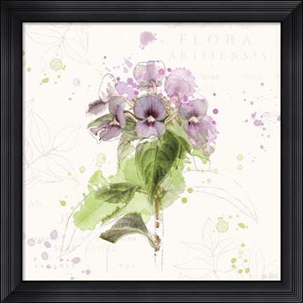 Framed Floral Splash III Print