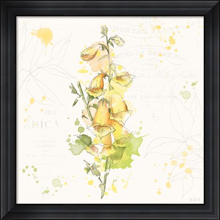 Framed Floral Splash IV Print