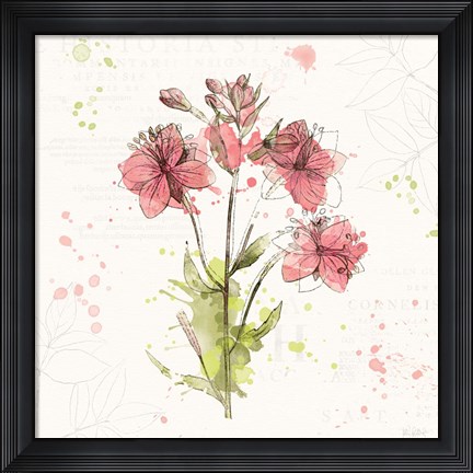 Framed Floral Splash V Print