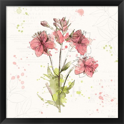 Framed Floral Splash V Print