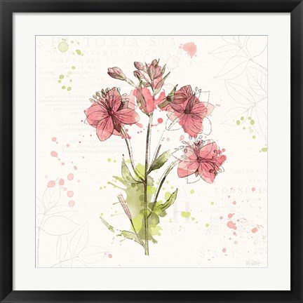 Framed Floral Splash V Print