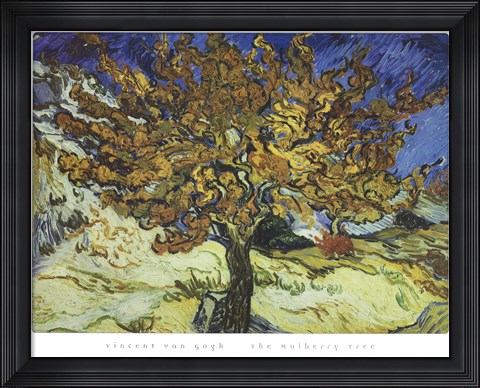 Framed Mulberry Tree Print