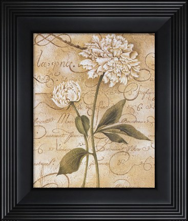 Framed Calligraphy Peony Print